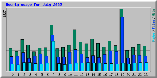 Hourly usage for July 2025