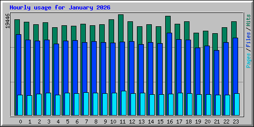 Hourly usage for January 2026